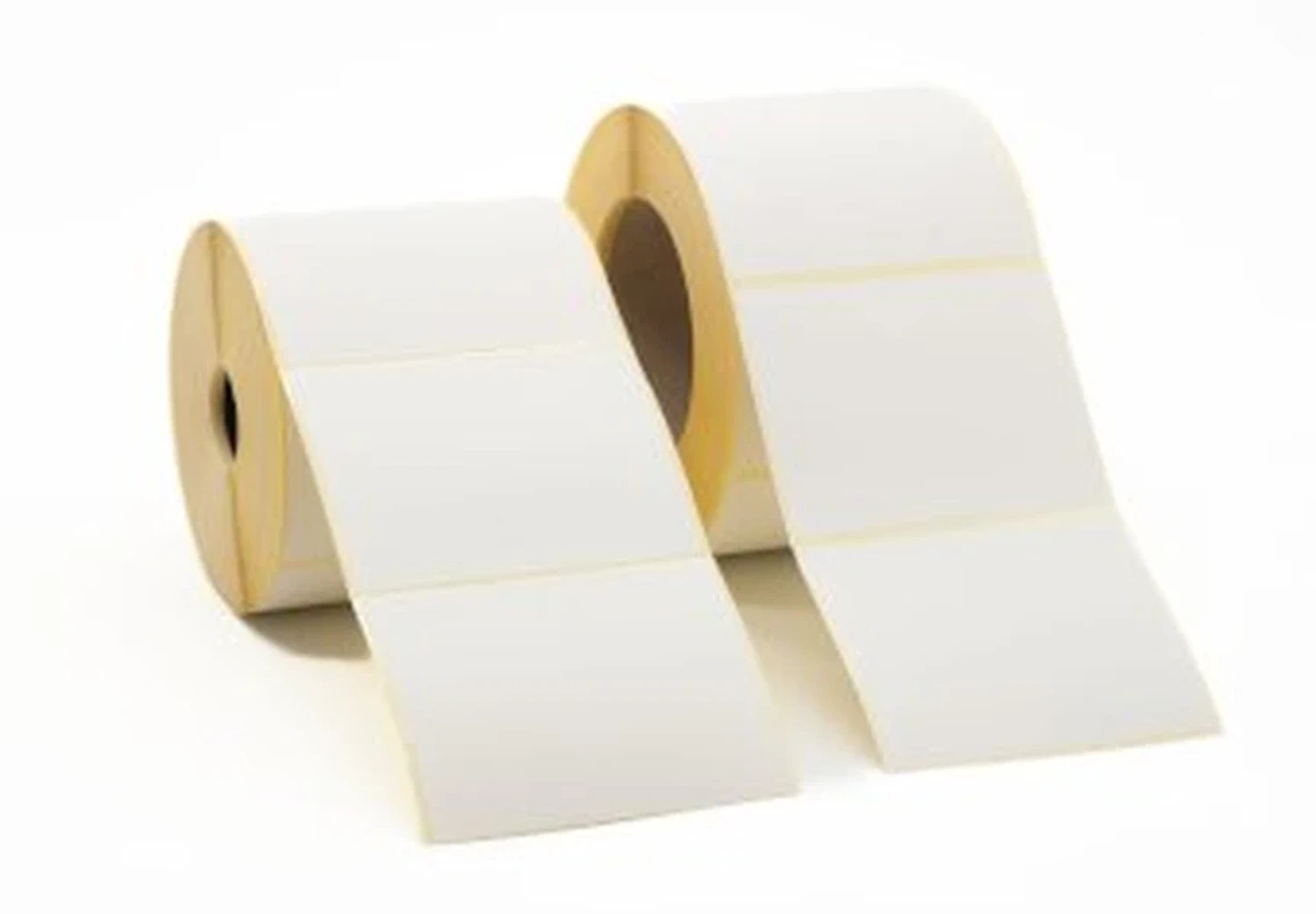 Etichette termiche dirette Argo Team da 100x75 mm